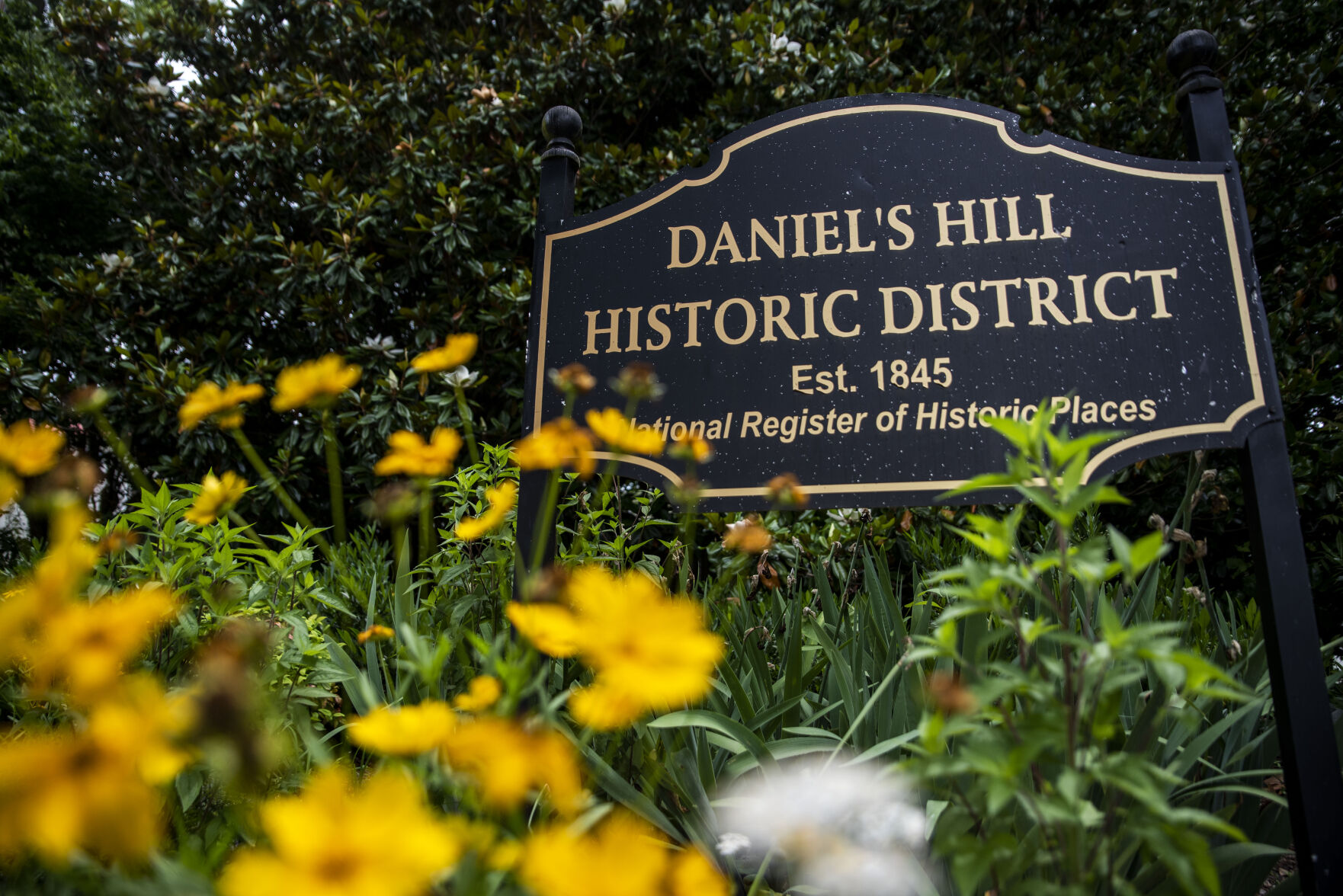 Daniel's Hill